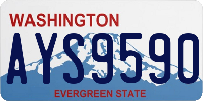 WA license plate AYS9590