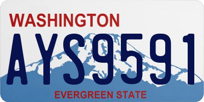 WA license plate AYS9591