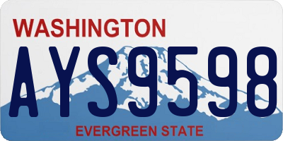 WA license plate AYS9598