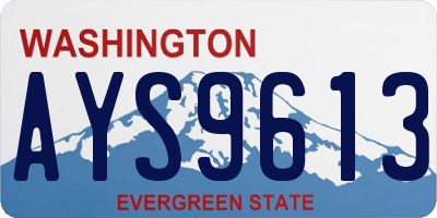 WA license plate AYS9613