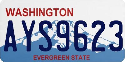 WA license plate AYS9623