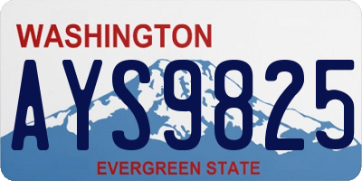 WA license plate AYS9825