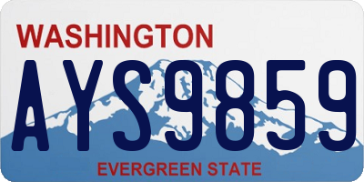 WA license plate AYS9859