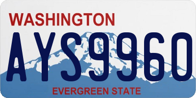 WA license plate AYS9960