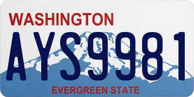 WA license plate AYS9981