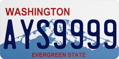 WA license plate AYS9999