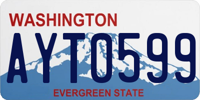WA license plate AYT0599