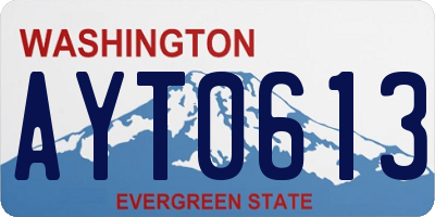 WA license plate AYT0613