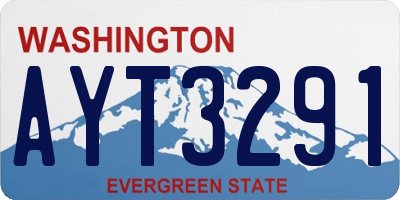 WA license plate AYT3291