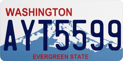 WA license plate AYT5599