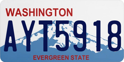 WA license plate AYT5918