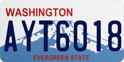 WA license plate AYT6018
