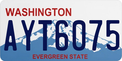 WA license plate AYT6075