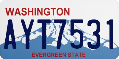 WA license plate AYT7531
