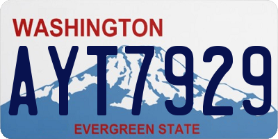 WA license plate AYT7929