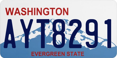 WA license plate AYT8291