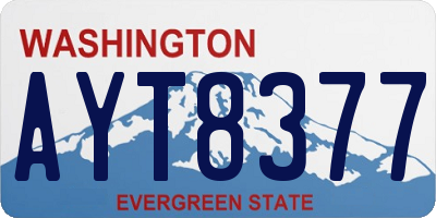 WA license plate AYT8377