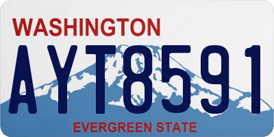 WA license plate AYT8591