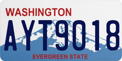WA license plate AYT9018
