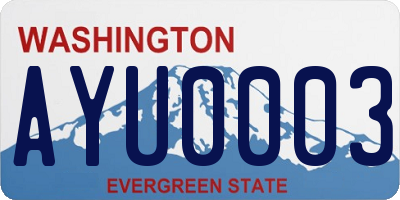 WA license plate AYU0003