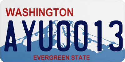 WA license plate AYU0013