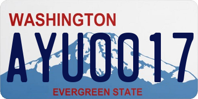 WA license plate AYU0017