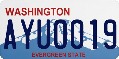 WA license plate AYU0019