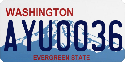 WA license plate AYU0036