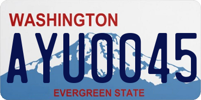 WA license plate AYU0045