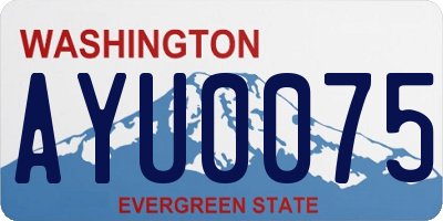 WA license plate AYU0075
