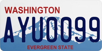 WA license plate AYU0099