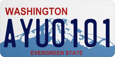 WA license plate AYU0101