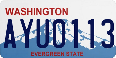 WA license plate AYU0113