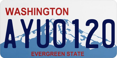 WA license plate AYU0120