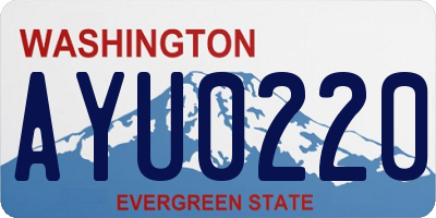 WA license plate AYU0220