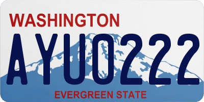 WA license plate AYU0222