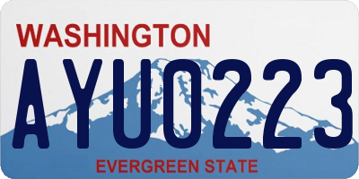 WA license plate AYU0223