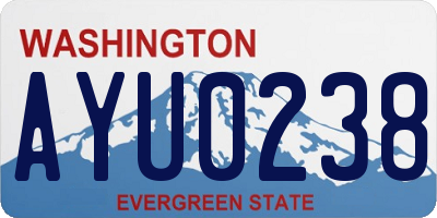 WA license plate AYU0238