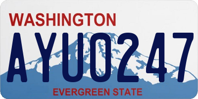 WA license plate AYU0247