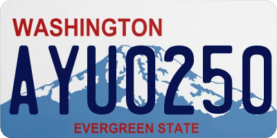 WA license plate AYU0250