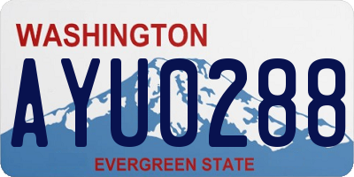 WA license plate AYU0288