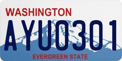 WA license plate AYU0301