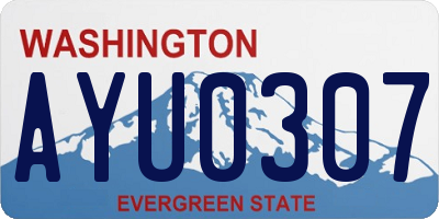 WA license plate AYU0307