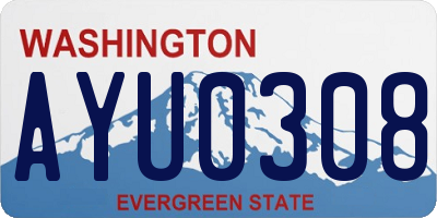 WA license plate AYU0308