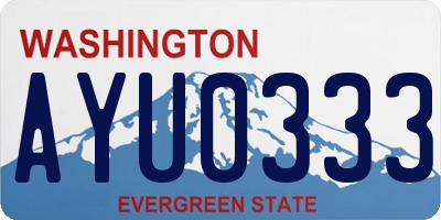 WA license plate AYU0333