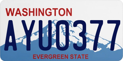 WA license plate AYU0377