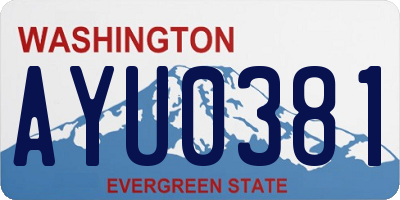 WA license plate AYU0381