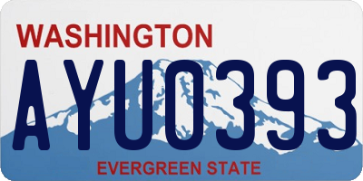 WA license plate AYU0393