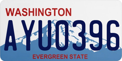 WA license plate AYU0396
