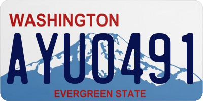 WA license plate AYU0491